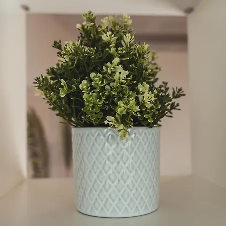 Apartament Lo Spettacolo